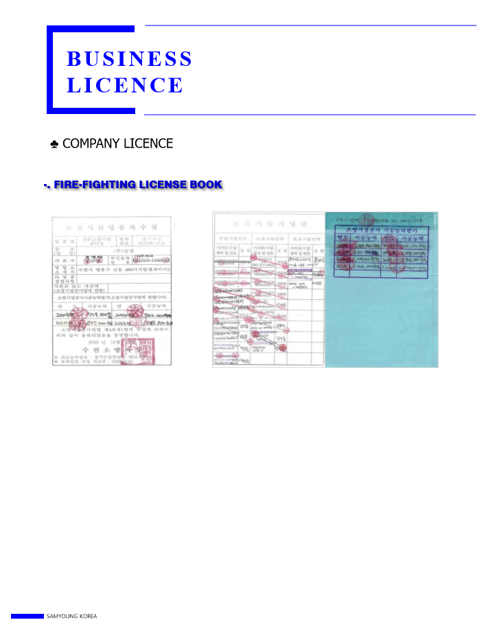 licence_3.PNG
